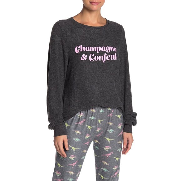 Wildfox Tops - NWT Wildfox Champagne & Confetti Pullover Sweater
